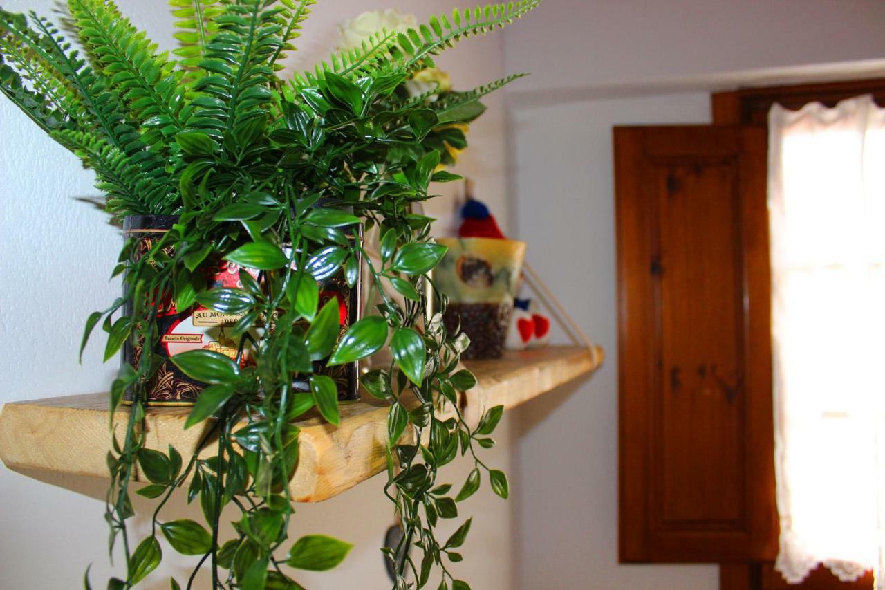 Apartment Mina House