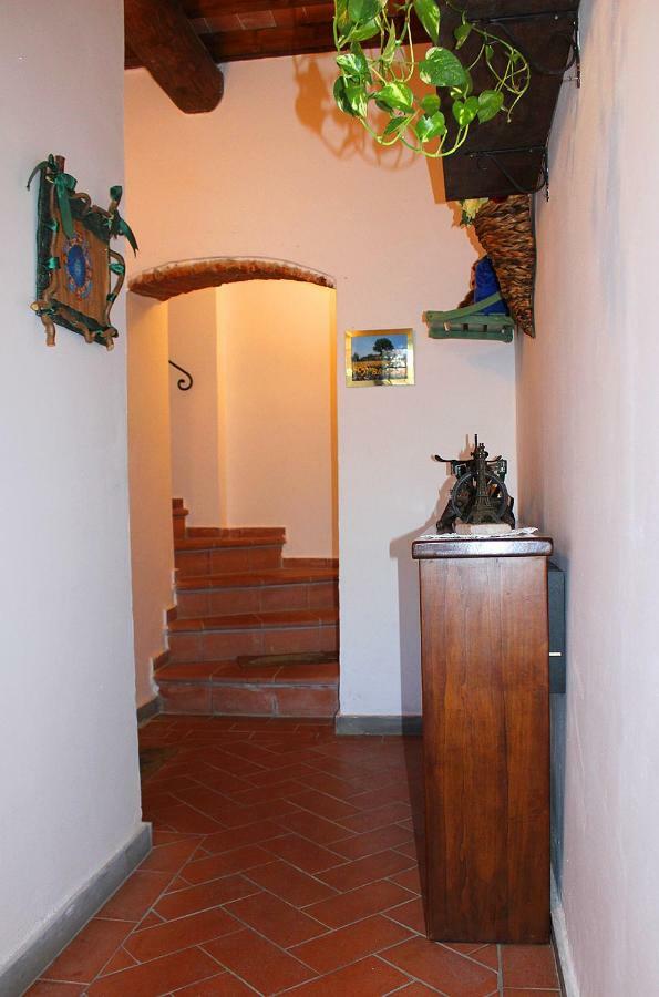 Mina House *