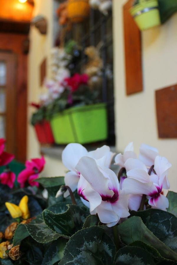 Mina House *