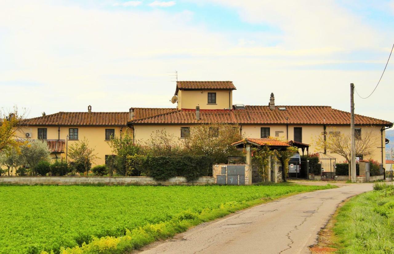 Mina House *